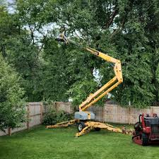 Best Lawn Maintenance Plans  in Midfield, AL